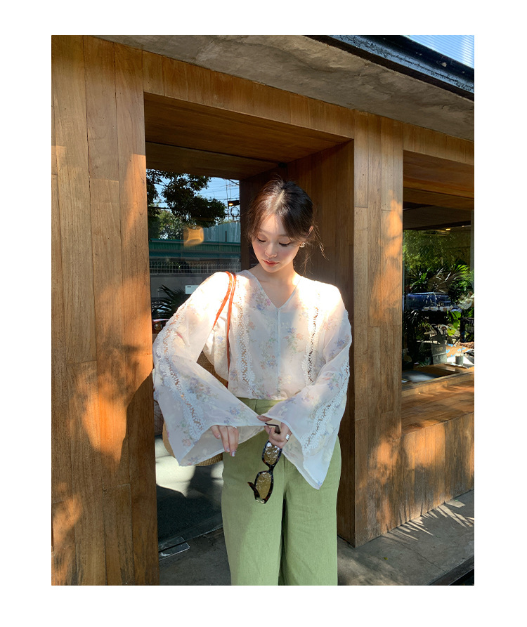 New Chinese-style Zen-inspired, stylish, unique and exquisite openwork chiffon shirt C3552 pic 12