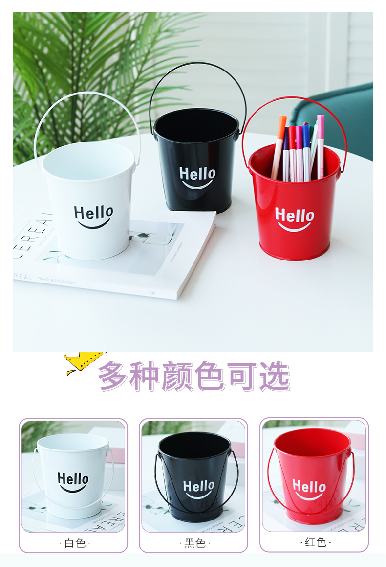 铁皮小提桶金属铁艺花桶收纳小桶阳台绿植多肉种植套盆桌面装饰桶详情4