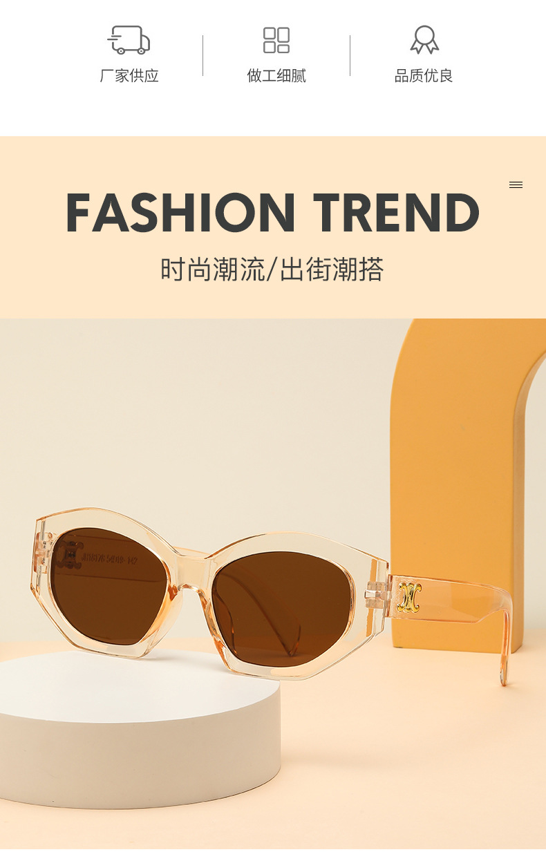 Retro triumph snow sunglasses for women, a new type of high-end oval angular sunglasses for sun protection and shading pic 21