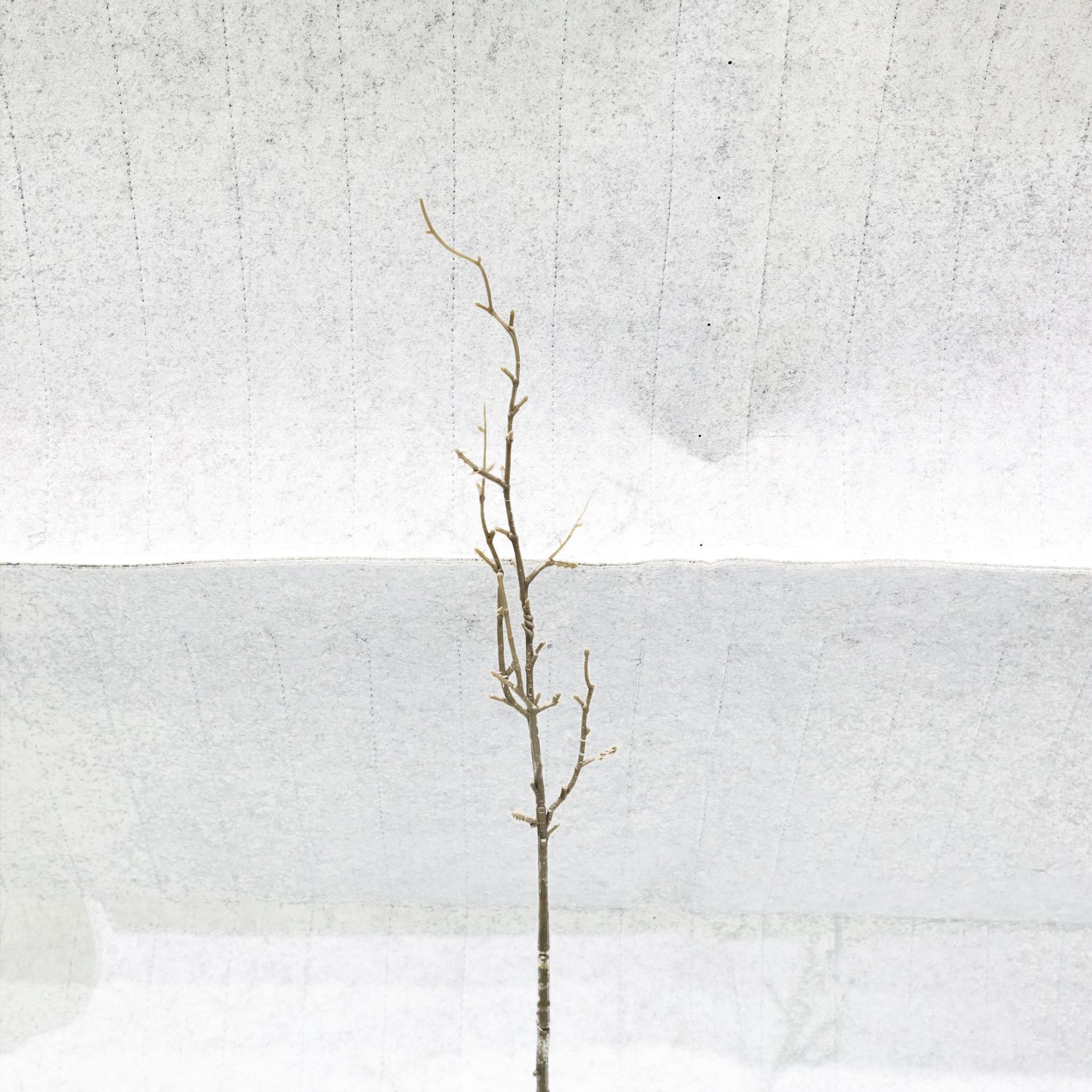 仿真柿子石榴枝花枝杆塑料铁丝多功能客厅插花装饰拍摄摆件办公文化园艺仿真树叶详情9