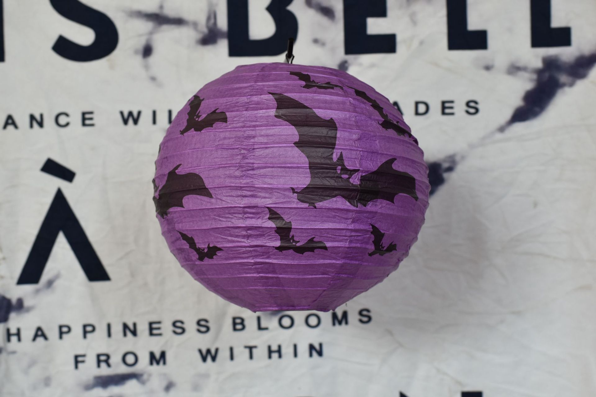 万圣节装饰咖啡餐饮门店蜘蛛网灯笼恐怖氛围布置幼儿园派对挂饰详情7