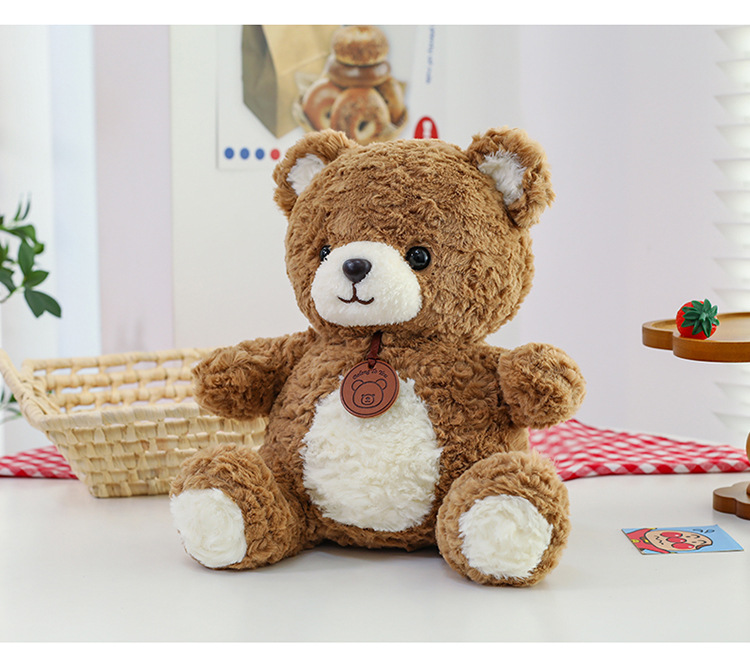 吊牌小熊公仔可爱毛绒玩具小熊公仔玩偶儿童生日礼物跨境批发详情17