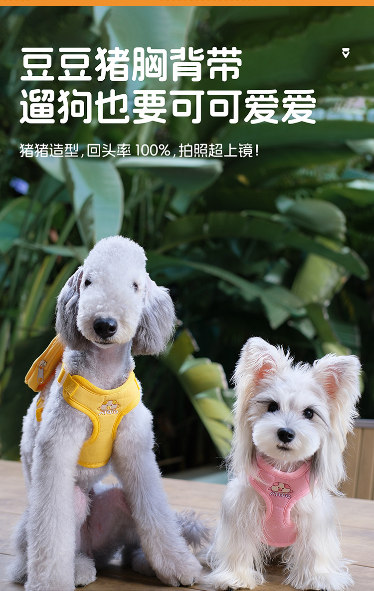 宠物遛狗狗溜猫咪胸背带户外牵引狗绳子项圈衣服防爆冲猫用品批发详情1