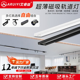 LED象鼻灯全铝 服装店展厅嵌入式洗墙灯 窄边可旋转COB拉伸象鼻灯详情9