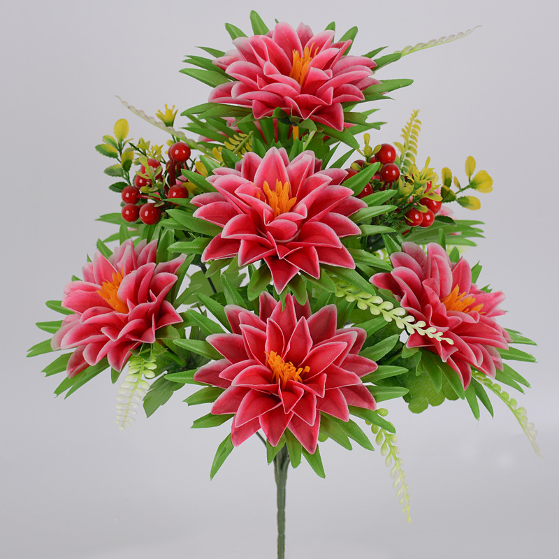 10头7耳菊玫红色.jpg