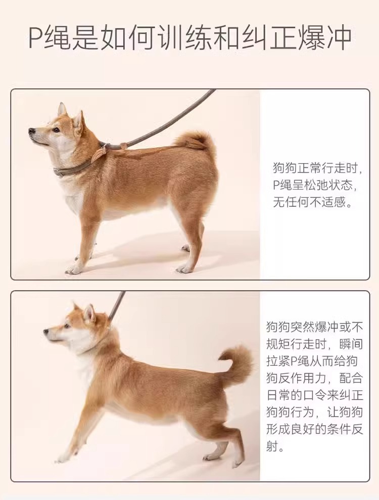 狗狗绳子防爆冲P链遛狗牵引绳防挣脱狗链子中大型犬防爆冲拴狗绳详情43