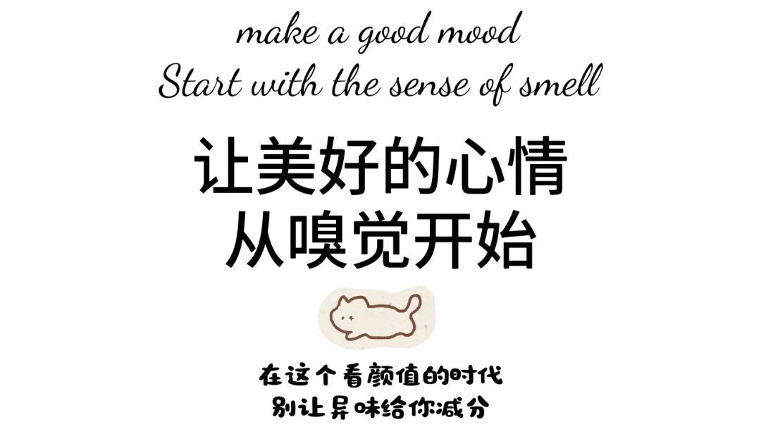 厂家供应香薰石膏条扩香石室内卧室车载器填充专用香薰石车用香氛详情12