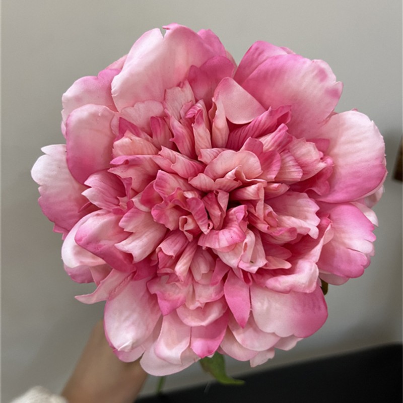 2025-05-28 00:46:37.jpg