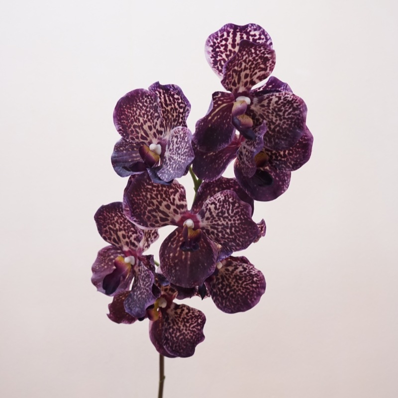 高品质仿真花手感万代兰婚庆家居装饰花软装插花胡姬兰胸花手捧花详情8
