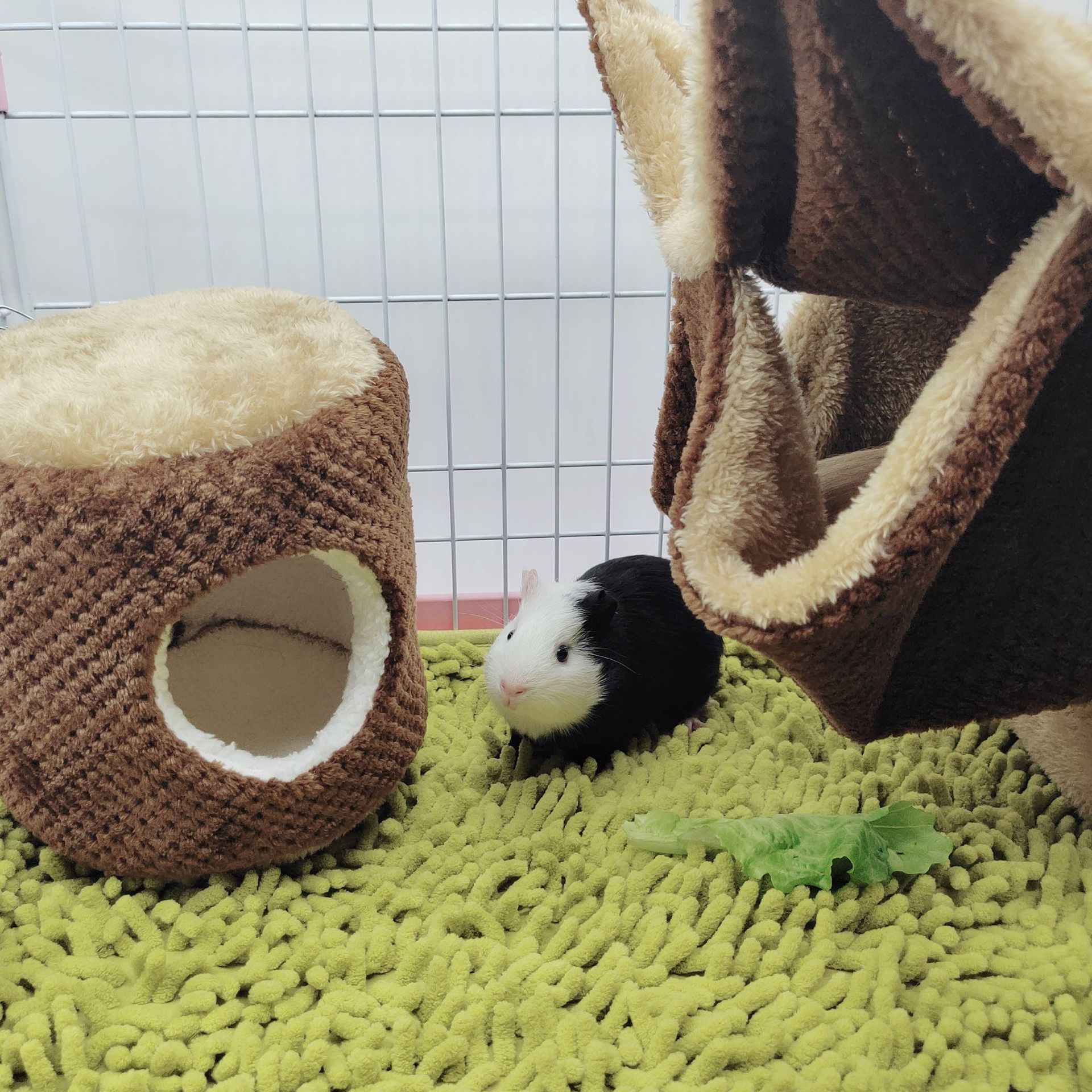 Hamster nest, rabbit, Dutch pig, guinea pig nest, sugar glider, squirrel, warm cotton nest, hammock, guinea pig nest, pet supplies pic 32