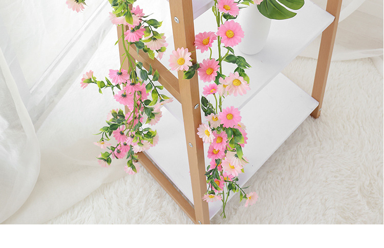 小雏菊---副本_16.jpg