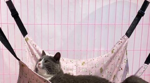 Factory pet supplies canvas cat cages, hammocks with fleece hanging, adjustable length, pet cat hanging beds pic 16