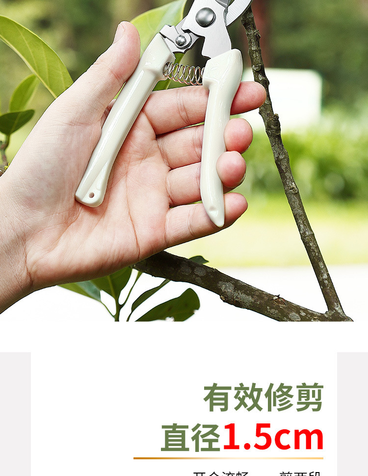 修枝剪套装园艺剪园林弯头剪花园剪刀摘果剪弹簧手动工具省力剪刀详情5
