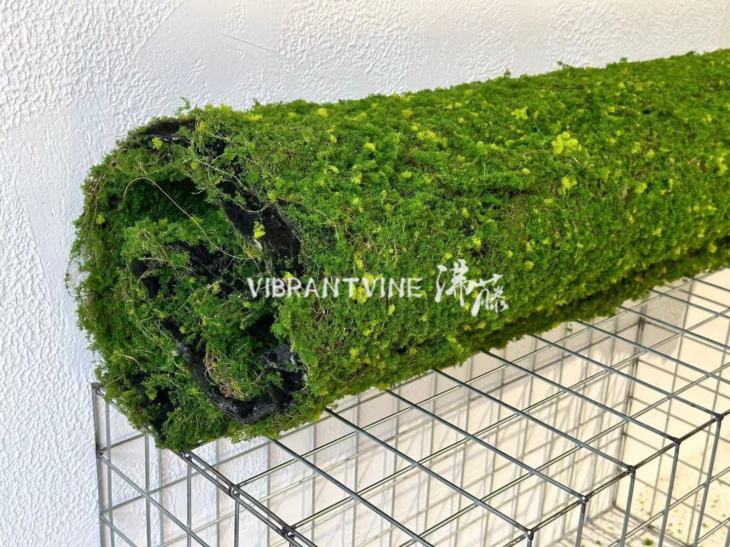 仿真绿植青苔藓皮青苔坪橱窗软装苔藓绿地墙面植物墙装饰人造草坪详情7