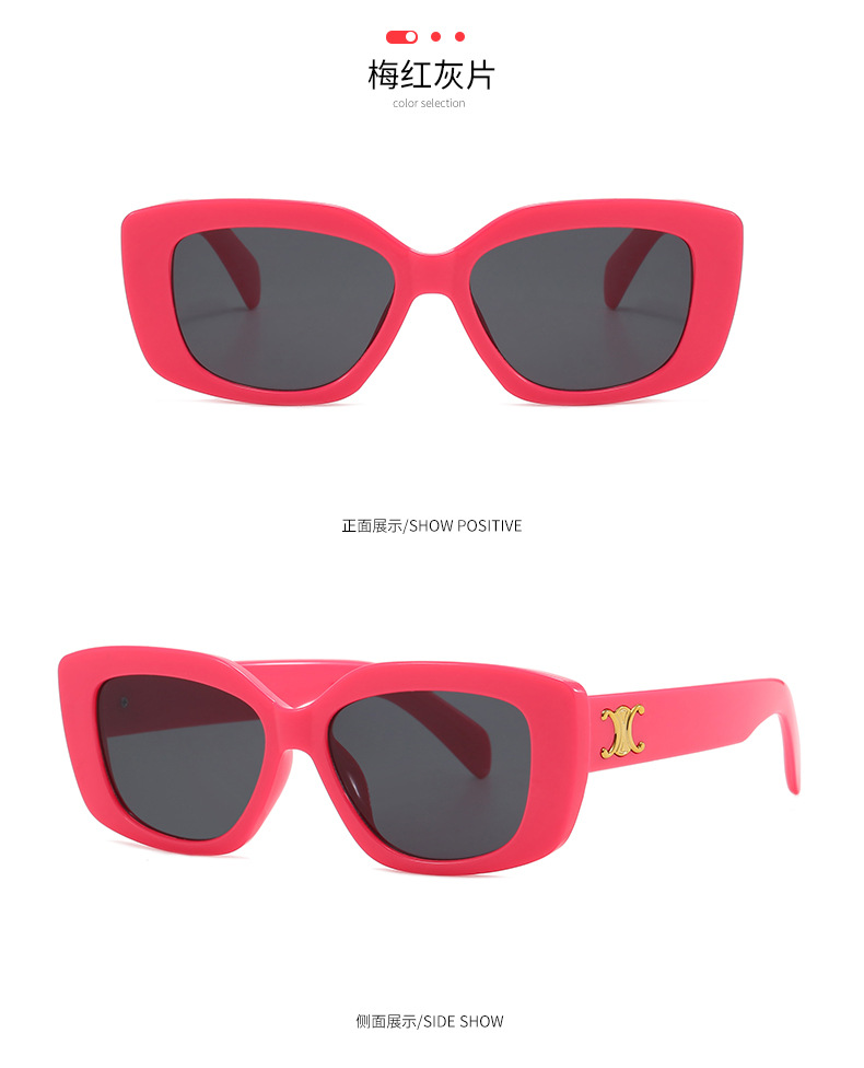 Retro triumph snow sunglasses for women with a high-end feel, 2024 new square sunglasses for sun protection against ultraviolet rays pic 10