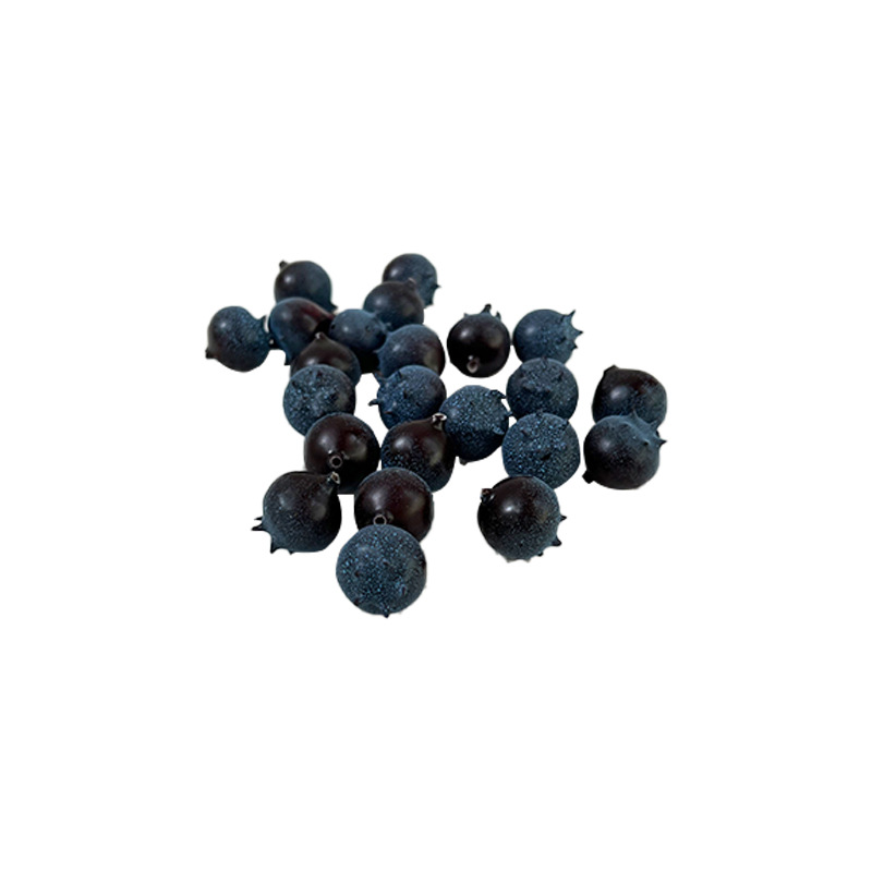 仿真植物蓝莓果果树莓果家居果篮装饰拍摄道具模型厂家批发详情8