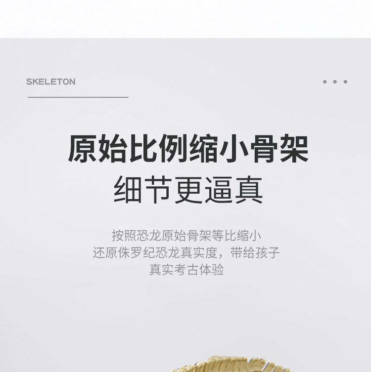 跨境DIY考古恐龙挖掘益智玩具奖励拼插霸王龙骨架铜锤套装模型详情7