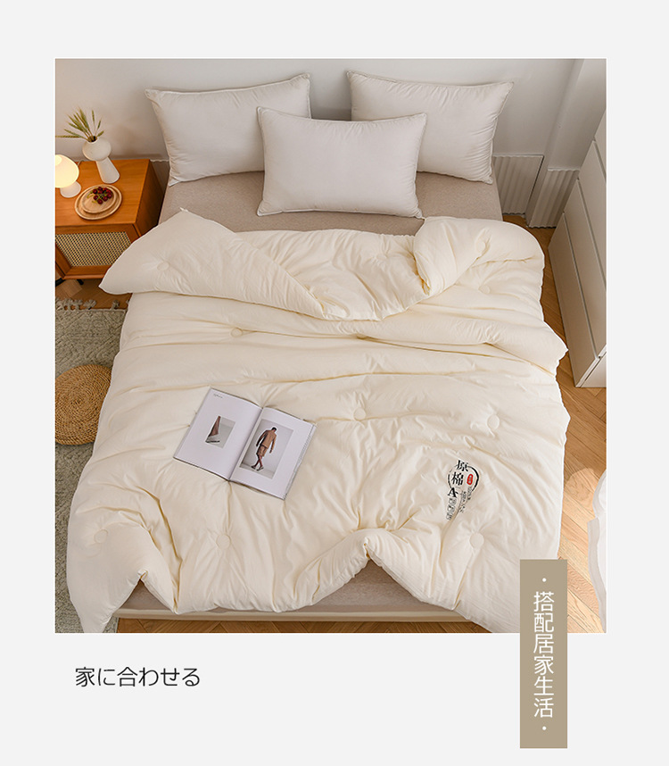Class A raw cotton soybean quilt, thickened spring and autumn quilt, soybean fiber quilt core, winter quilt, gift cotton quilt, live streaming and consignment pic 2