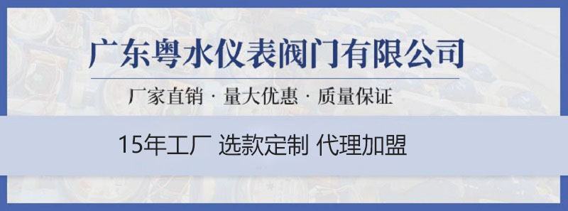 黄铜立式止回阀加厚自来水管道逆止阀单向阀弹簧式阀门4分6分1寸详情1