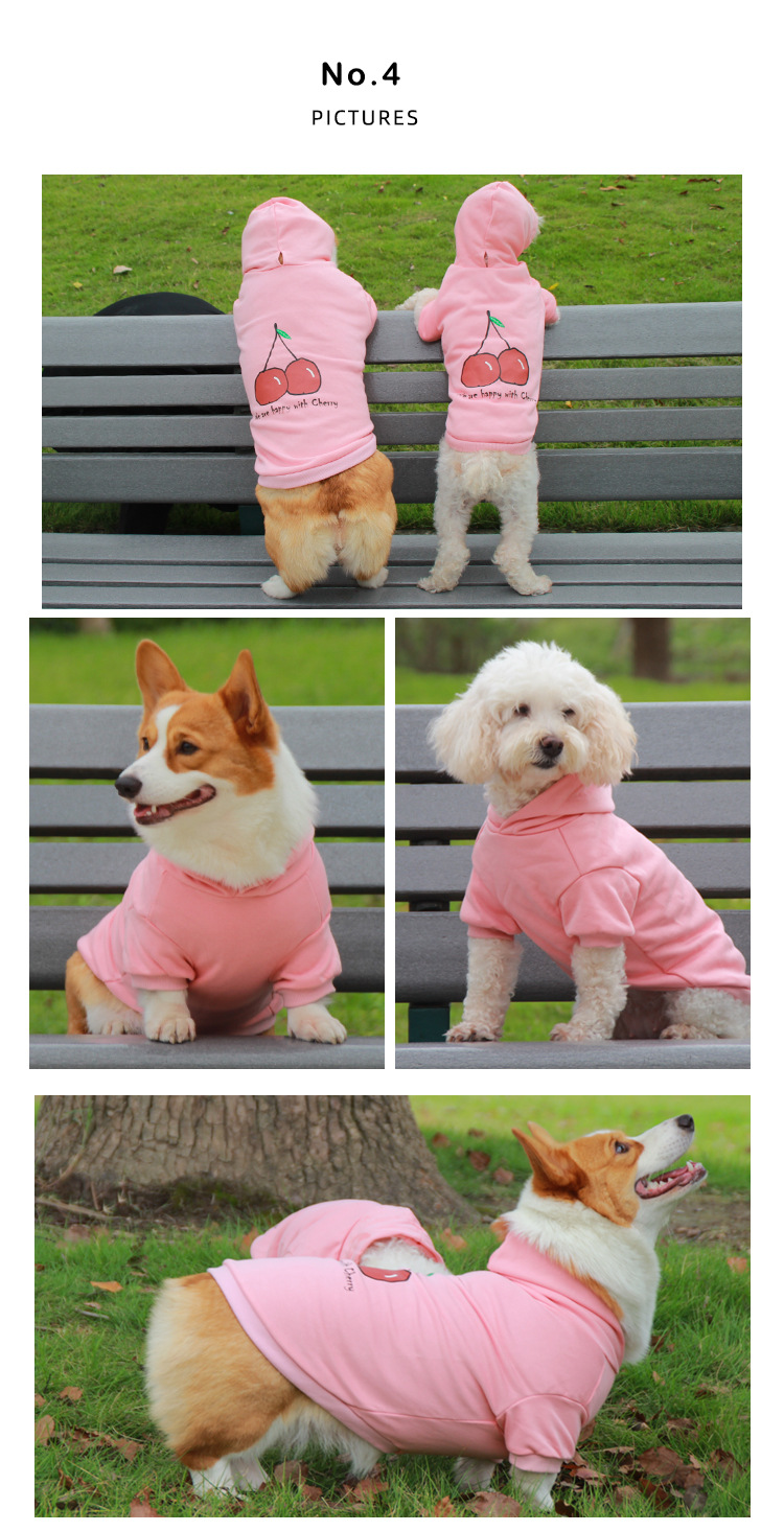 Pet it cartoon cotton dog hoodies, Corgi teddy puppies, cherry clothes, Amazon pet clothing wholesale pic 6