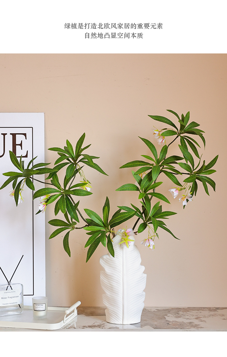 水石榕仿真单枝3D打印现代家居软装插花绿植宠物园艺水培生态瓶详情20