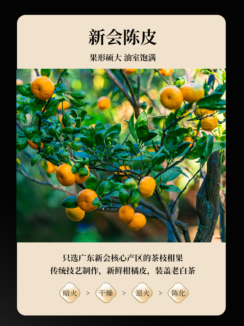 新会小青柑普洱茶天马陈皮普洱茶柑普茶陈皮小青柑散装厂家批发详情26