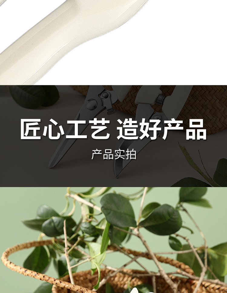 修枝剪套装园艺剪园林弯头剪花园剪刀摘果剪弹簧手动工具省力剪刀详情10