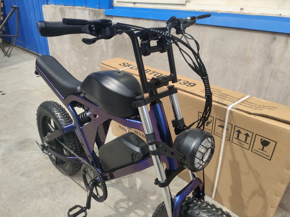 20-inch electric bicycle super73 integrated wheel lithium battery-powered 3.0 dual disc brake for beach and snow pic 3