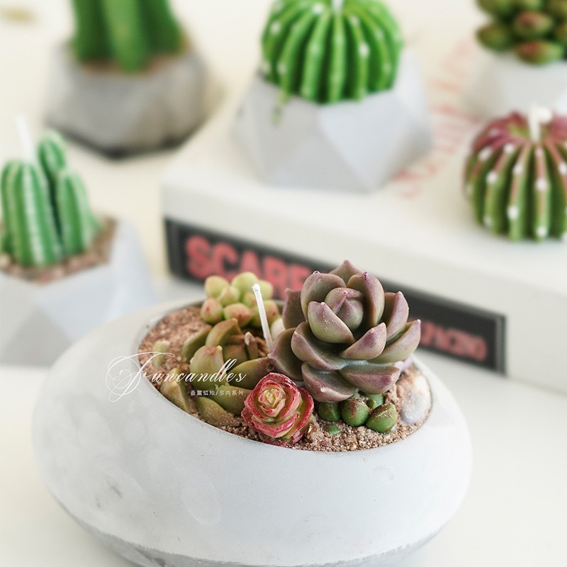 DIY succulent cactus plant silicone mold cake decoration aromatherapy plaster resin baking tools candles pic 6