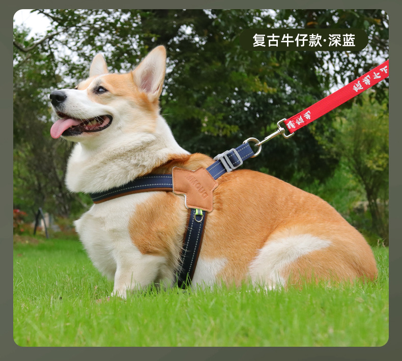 Dog leash saddle-style pet chest and back strap, breathable and reflective dog chest and back pet leash, dog leash wholesale pic 25