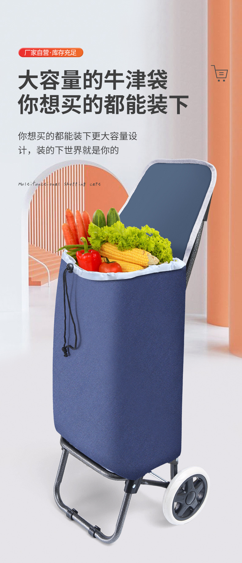 家用购物车买菜小拉车便携爬楼老年人超市拖车折叠手拉杆推车批发详情4