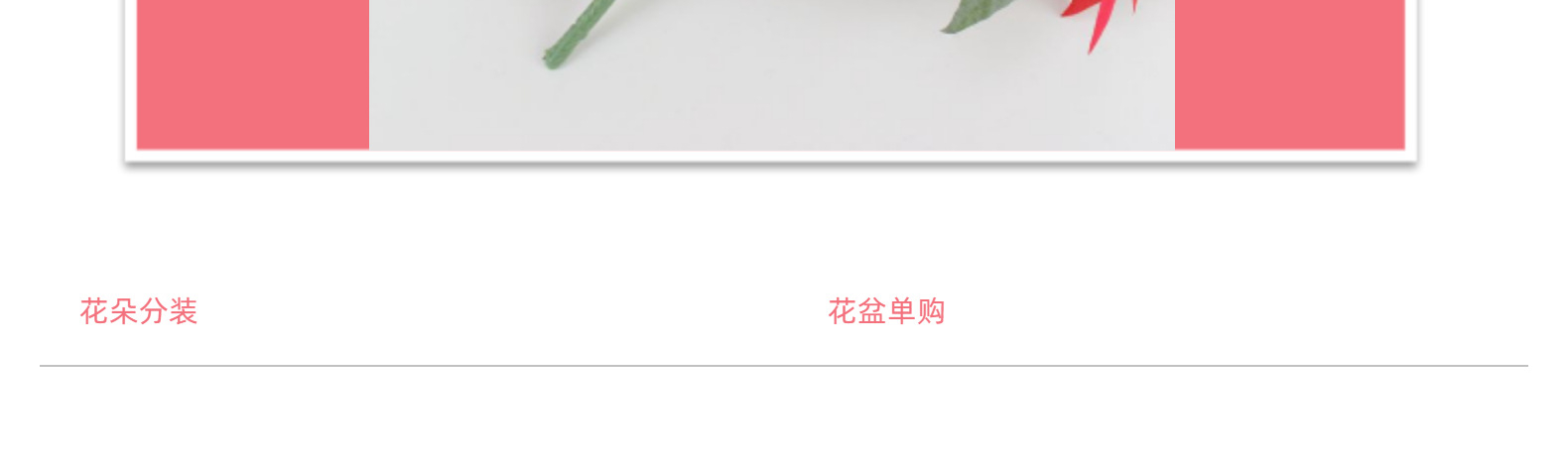 5-7头圣诞花束仿真绒布一品红万圣节装饰假花花朵造景人造花花卉详情4