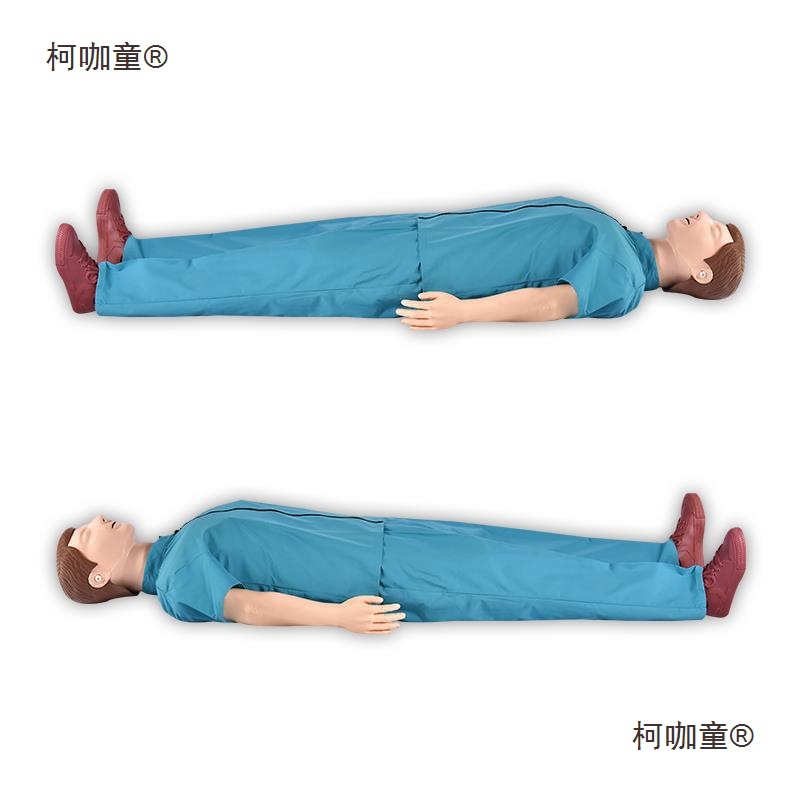Kecatong Medical Training dummy tuning fork, Traditional Chinese medicine teaching simulation human, children and adults practical operation exercise equipment pic 5