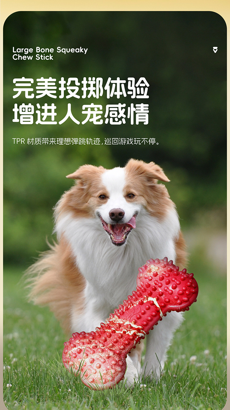 狗狗玩具耐咬解闷骨头玩具咬胶幼犬磨牙棒消耗体力益智玩具详情5