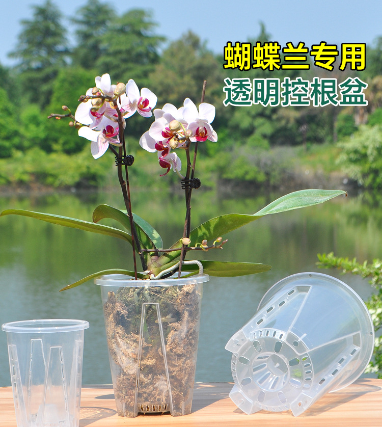 蝴蝶兰专用花盆空气柱透明青山盆特大号大口径塑料圆形桌面高花盆详情6