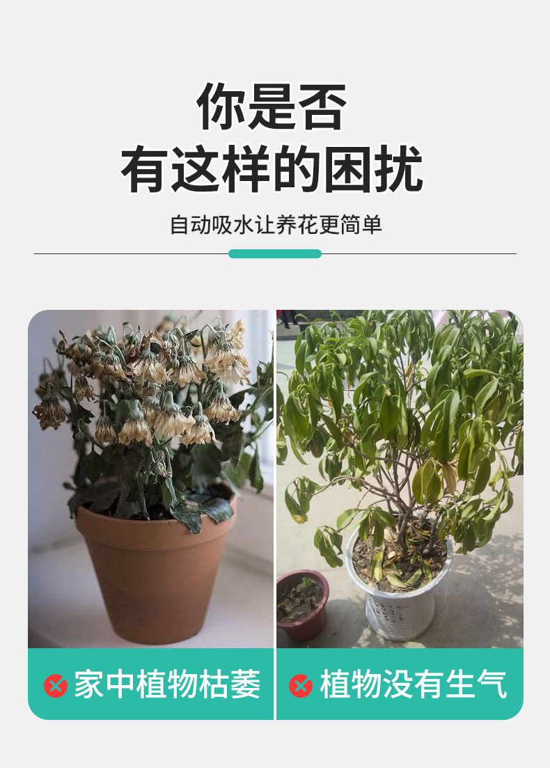 新款储水透明青山盆自吸水懒人盆控根盆朱顶红蝴蝶兰塑料花盆批发详情4