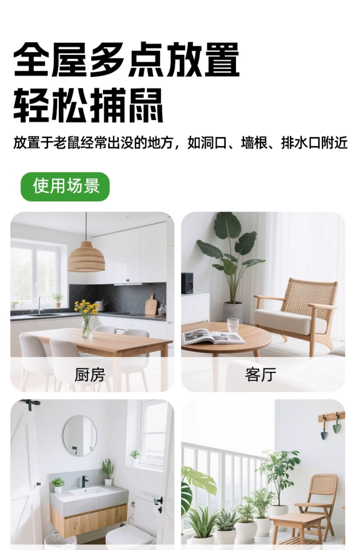 超威强力粘鼠板老鼠贴强力粘鼠贴捕鼠器灭鼠贴强力粘板自带花生香详情14