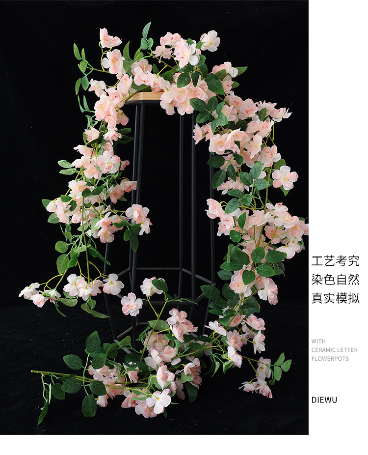 樱花_14.jpg
