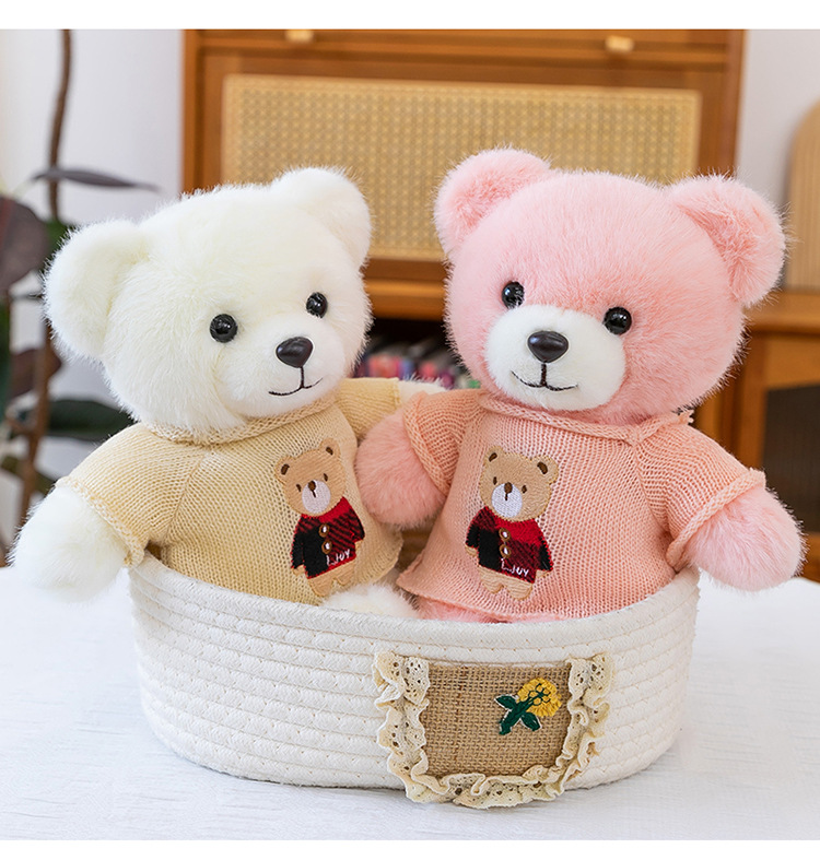 毛衣泰迪熊公仔毛衣百变小熊毛绒玩具情人节送女生布娃娃礼物熊送详情17