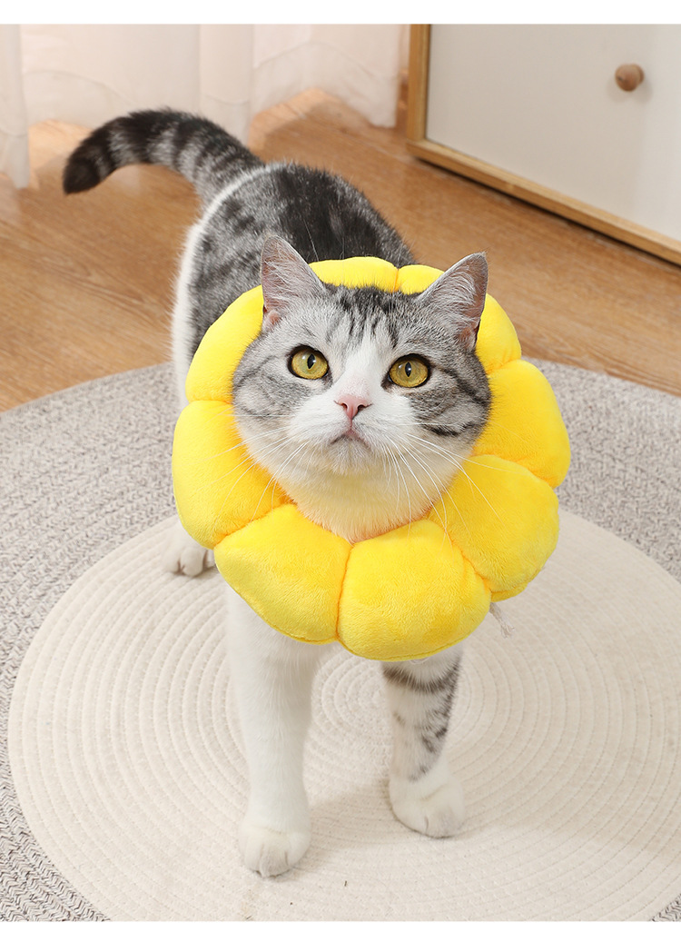 太阳花伊丽莎白圈 宠物项圈猫咪伊丽莎白项圈狗项圈绝育防舔头套详情25