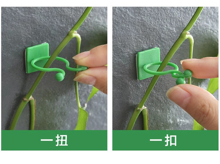 绿萝固定器藤蔓植物绿植墙上攀爬器挂钩电线固定扣爬藤造型固定夹详情6