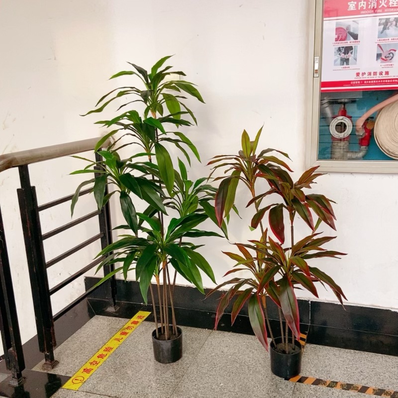 工厂店仿真盆栽天鹅绒大型落地绿植巴西木朱蕉室内装饰摆件植物详情13