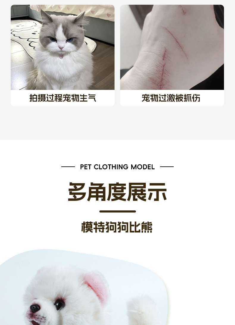 仿真博美公仔毛绒玩具小狗狗玩偶狗狗服装模特摄影摆件道具玩偶详情3