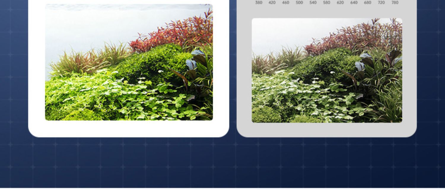 鱼缸灯LED灯节能照明水族箱防溅水草缸灯高亮小型造景支架小夹灯详情8