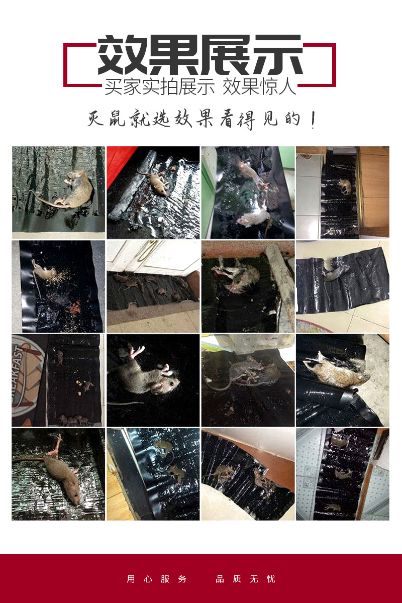强力灭鼠魔毯批发粘鼠板老鼠贴粘鼠魔毯老鼠笼捕鼠器老鼠夹笼家用详情2