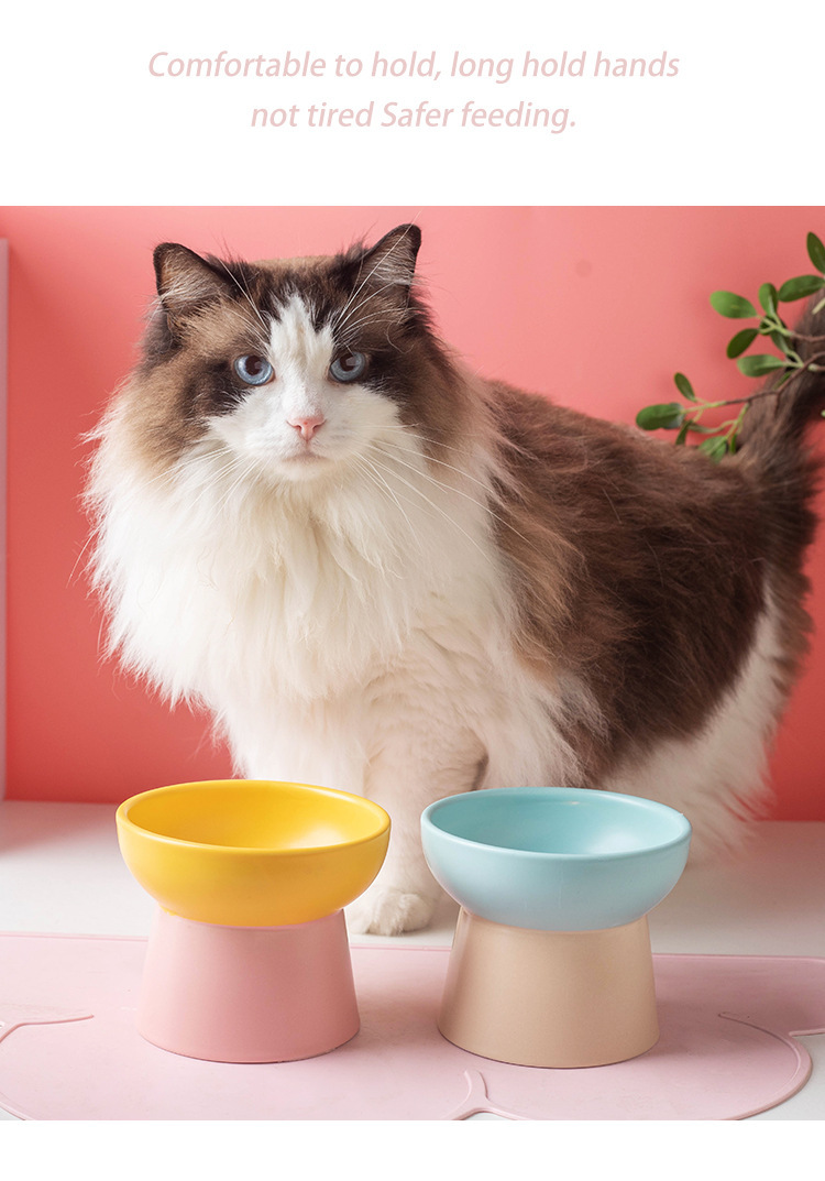 Wholesale of color-blocking ceramic cat bowls with high legs to protect the cervical vertebrae, cat food bowls, cat and dog basins, drinking bowls, and pet snack bowls pic 13