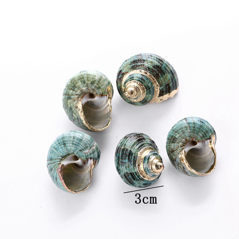 Gold-rimmed natural shell popular bracelet accessories, small conch light luxury, niche semi-finished diy accessory materials pic 8