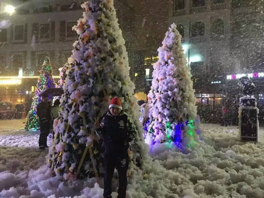 厂家批发舞台摇头雪花机静音飘雪机圣诞仿真造雪机婚庆商演特效喷雪机设备大型商场开幕活动氛围渲染影视剧雪花场景塑造详情15
