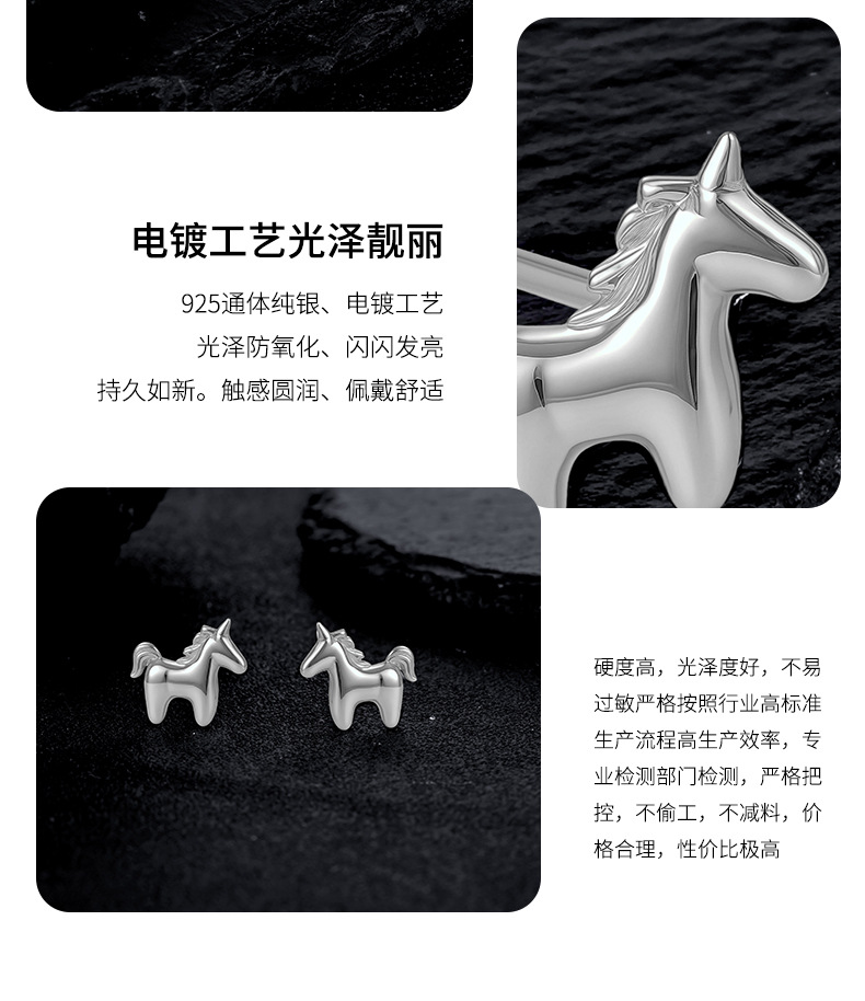 Zhuoheng Select New AliExpress earrings, European and American cross-border S925 silver inlaid hip-hop style stud earrings, high-end and light luxury earrings pic 5