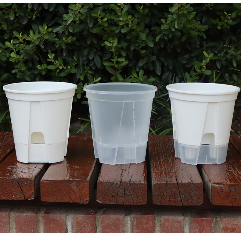 新款储水透明青山盆自吸水懒人盆控根盆朱顶红蝴蝶兰塑料花盆批发详情21